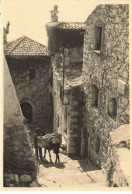 06 EZE AJ#MK050 UNE RUE ANE CARTE PHOTO - Eze