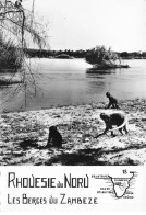 ZIMBABWE RHODESIE DU NORD #FG56149 LES BERGES DU ZAMBEZE - Simbabwe
