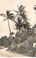 REUNION AP#DC198 STE SUZANNE LE TOURNANT OMEGA - Réunion