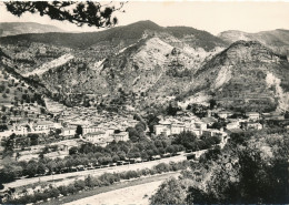 PUGET-THENIERS: VUE GENERALE - Eze