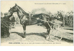 Hippisme.n°35963.fred Leyburn.baie.1913.CHEVAUX.sulky.SUPPLEMENT A LA FRANCE CHEVALINE.dos Blanc.course.cheval.jokey. - Ippica