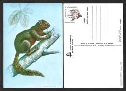 Postcard With Mammals Mozambique. Proteles Cristatus - Hyena, Wolf, Or African Anteater. Paraxerus Vincenti - Squirrel. - Mozambique
