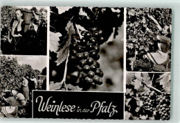 39527946 - Weinlese Trauben - Autres & Non Classés