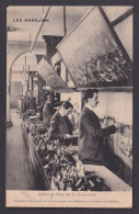 Postcard, France, Les Gobelins, Atelier Du Tapis - Industrie