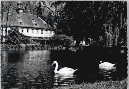 50515319 - Lich , Hess - Lich