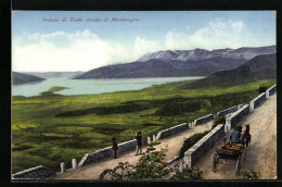 AK Teodo Strada, Ortsansicht Mit Bergen Und Pferdekutsche - Montenegro