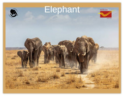 India 2025 ELEPHANT - MINT / BLANK PPC Maxim/Picture Post Card As Per Scan - Éléphants