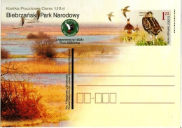 Cp 1269 Poland Biebrzanski Park Narodowy Gallinago Media 2001 - Gallinaceans & Pheasants