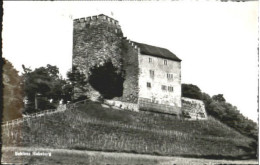 Schloss Habsburg  X 1952 - Autres & Non Classés