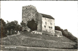 Schloss Habsburg  X 1948 - Autres & Non Classés