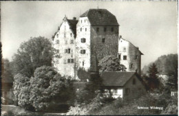 Wildegg Schloss Wildegg - Autres & Non Classés