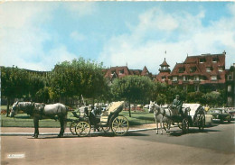 Deauville - Les Fiacres Et Le Normandy Hotel - Attelage Chevaux  AL 330 - Deauville