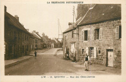 22* QUINTIN    Rue Des Crois Jarrois   RL22,1290 - Quintin