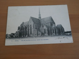 Geel Gheel église Sainte Dymphne - Geel