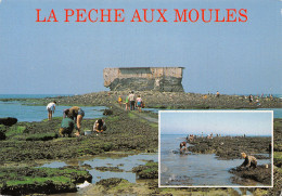 TH-LA PECHE AUX MOULES-N°2815-C/0173 - Pesca
