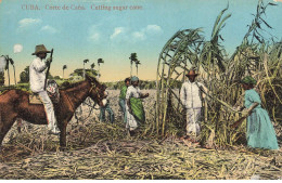 CUBA #MK53230 CORTE DE CANA CUTTING SUGAR CANE - Cuba
