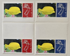 VARIETE FLUORESCENCE & SANS SIGNATURE WERLING ! CAGOU PERSONNALISE LOGO POISSON CHIRURGIEN 2020 TIRAGE : 40 EX GS TB - Ungebraucht