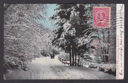 Postcard, CANADA, Adirondack Mts., Bloomingdale, Road In Winter - Otros & Sin Clasificación