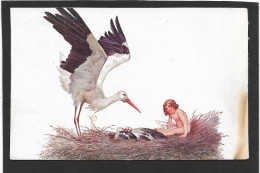 SOLOMKO - Cigogne, Bébé Dans Nid  Avec Cigogneaux - Solomko, S.
