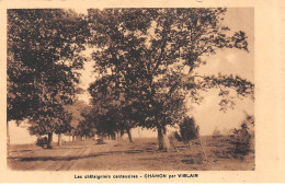 CHAMON Par VIGLAIN - Les Châtaigniers Centenaires - Très Bon état - Sonstige & Ohne Zuordnung