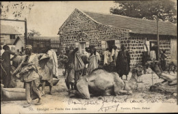 CPA Senegal, Peanut Trade, Handel Mit Erdnüssen, Kamele - Senegal