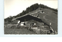 Adelboden  Hoernli - Sonstige & Ohne Zuordnung