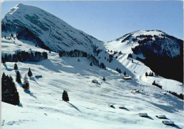 Wiriehorn Berghaus Nuegg - Sonstige & Ohne Zuordnung