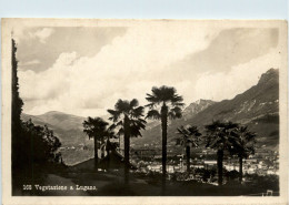 Vegetazione A Lugano - Lugano