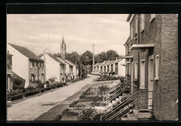 AK Königsee /Thür., AWG-Siedlung In Der Karl-Marx-Strasse - Sonstige & Ohne Zuordnung