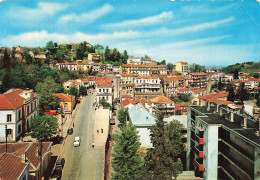 ALGERIE - Larba Nath Irathen - Vue Générale - Rue - Voiture - Bâtiments - Colorisé - Animé - Carte Postale Ancienne - Tizi Ouzou