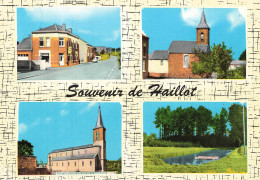 BELGIQUE - Haillot - Souvenir - Rue - Bassin - Bois - Eglise St Mort - Eglise De L Assomption De ND - Carte Postale - Ohey