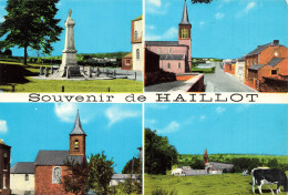 BELGIQUE - Haillot - Eglise St Mort - Eglise De L Assomption De ND - Monument - Village - Carte Postale - Ohey