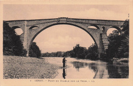 66 CERET PONT DU DIABLE SUR LE TECH - Ceret