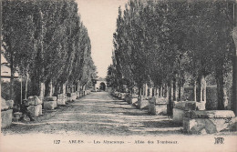 13 ARLES LES ALYSCAMPS ALLEE DES TOMBEAUX - Arles