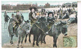AGLETERRE  THE FAMOUS SOUTHPORT  DONKEYS  ANES  1906 - Southport