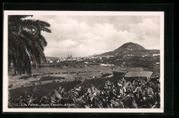 Postal Las Palmas /Gran Canaria, Arucas - Gran Canaria