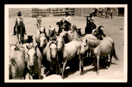13 - ARLES - GARDIANS ET CHEVAUX  - PHOTO GEORGE - Arles