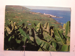Islas Canarias > Tenerife - Valle De La Orotava ..... - Tenerife