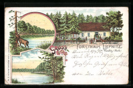 Lithographie Wandlitz /Mark, Gasthof Forsthaus Liepnitz Mit Garten, Liepnitzsee-Partien - Hunting