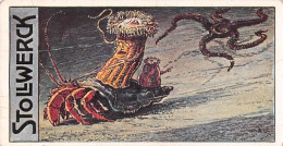 Chromo - Chocolat STOLLWERCK Gold Kakao-Schokolade - Gruppe 481 N' VI - Fräulein Brennessel - Crustacés (2 Scans) - Stollwerck