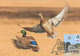 CARTE MAXIMUM - MAXIMUM CARD9- CARTOLINA MAXIMA - MAXIMUM-KARTE- PORTUGAL GIBIER À PLUMES - COLVERT - Anas Platyrinchus - Ducks