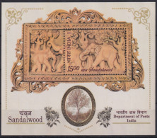 2006. India - Nuovi