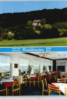 50392947 - Wittlich - Wittlich