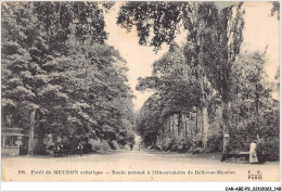 CAR-ABEP9-0831-92 - FORET DE MEUDON Artistique - Route Menant A L'observatoire De BELLEVUE-MEUDON - Meudon