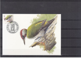 Groene Specht / Maximumkaart - 1985-.. Uccelli (Buzin)