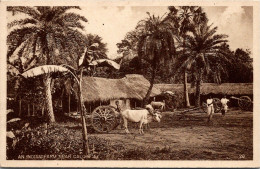 INDE - An INDIAN Farm Near CALOUTA - Attelage - India