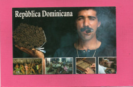 REPUBLICA DOMINICANA--Cosecha Del Tabaco---Multi-vues---( Cigares )---voir 2 Scans - Dominikanische Rep.