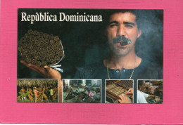 REPUBLICA DOMINICANA--Cosecha Del Tabaco---Multi-vues---( Cigares )---voir 2 Scans - Dominikanische Rep.