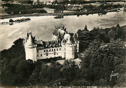 41* CHAUMONT ChAteau CPSM (10x15cm)         MA70-0722 - Sonstige & Ohne Zuordnung