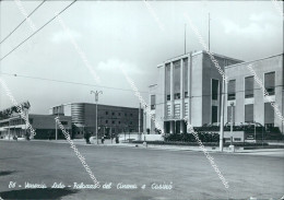 Bm69 Cartolina Venezia Lido Palazzo Del Cinema E Caisno' - Venezia (Venice)